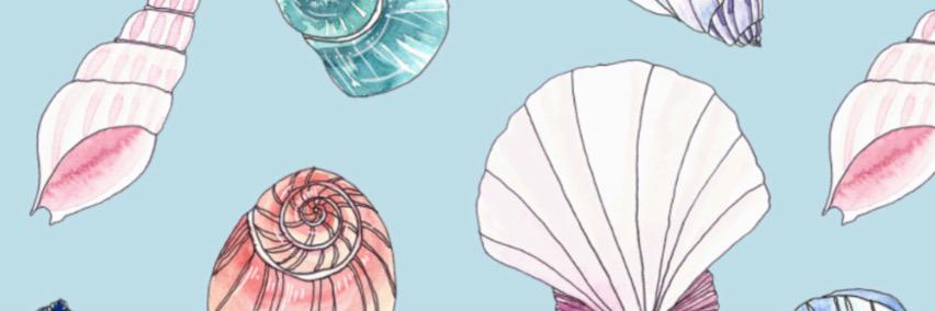 cellinikamil's profile banner image