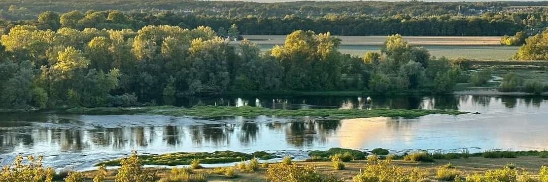 FAUQUET Christine banner