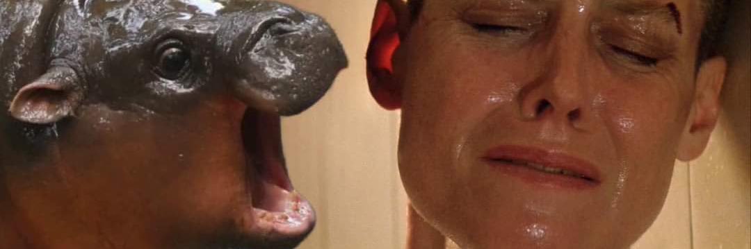 tyleroverthere's profile banner image