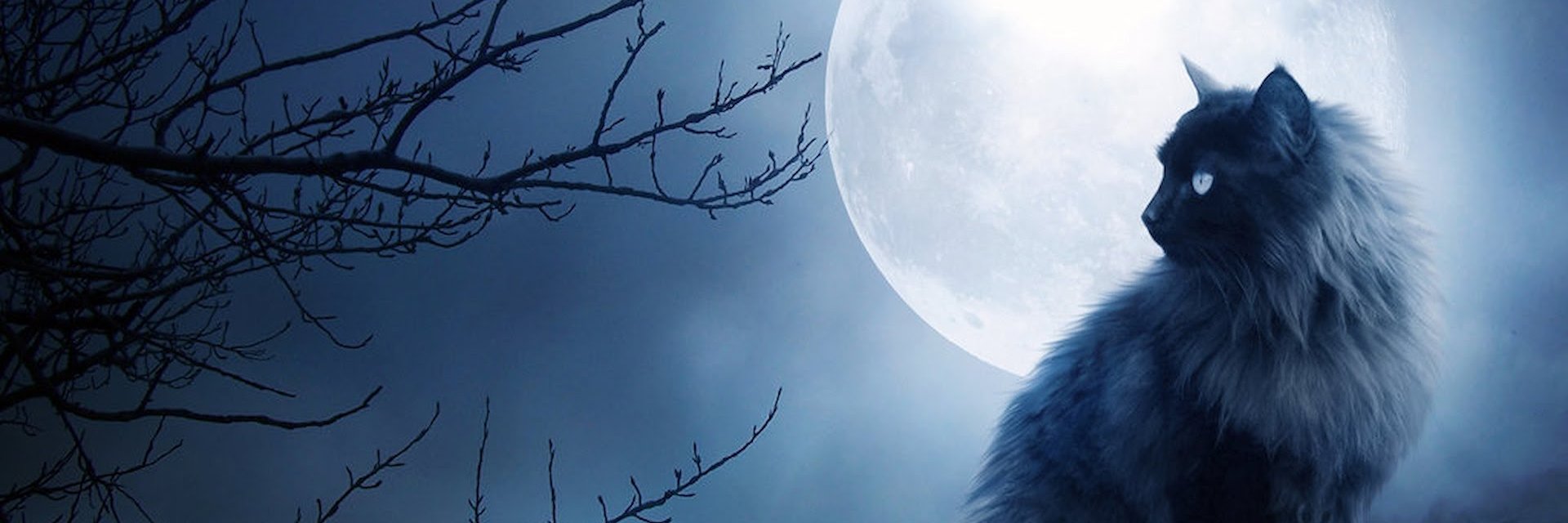 じぇだっこ banner