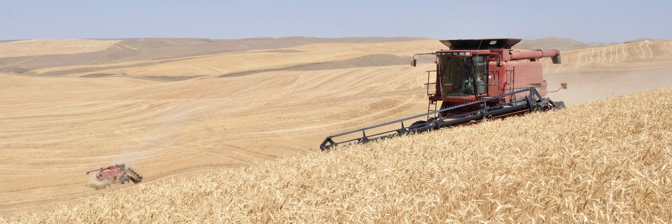 Brett Blankenship banner