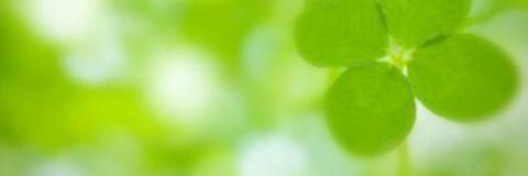 MoeToufu's profile banner image