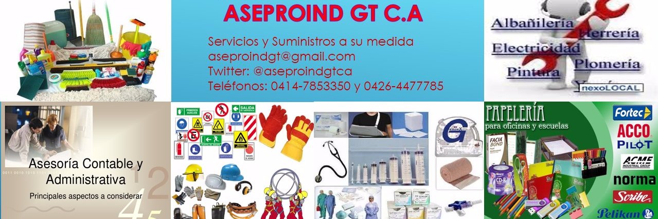 aseproindgtca's profile banner image