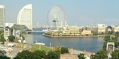 gatodona's profile banner image