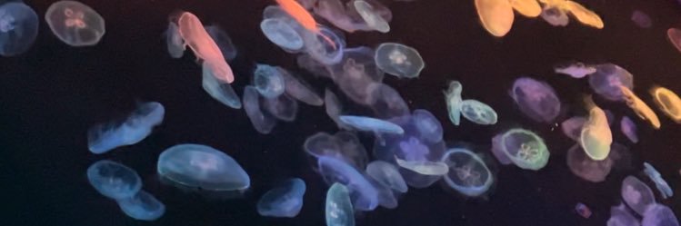 sOktk_423's profile banner image