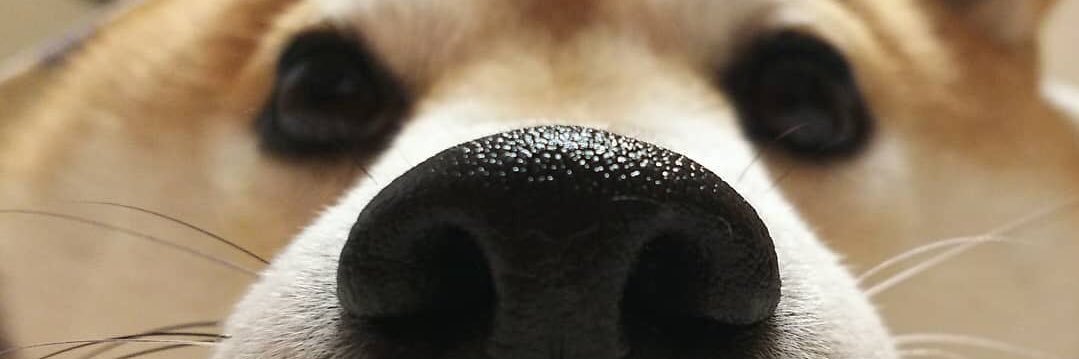 AndrewGrace96's profile banner image