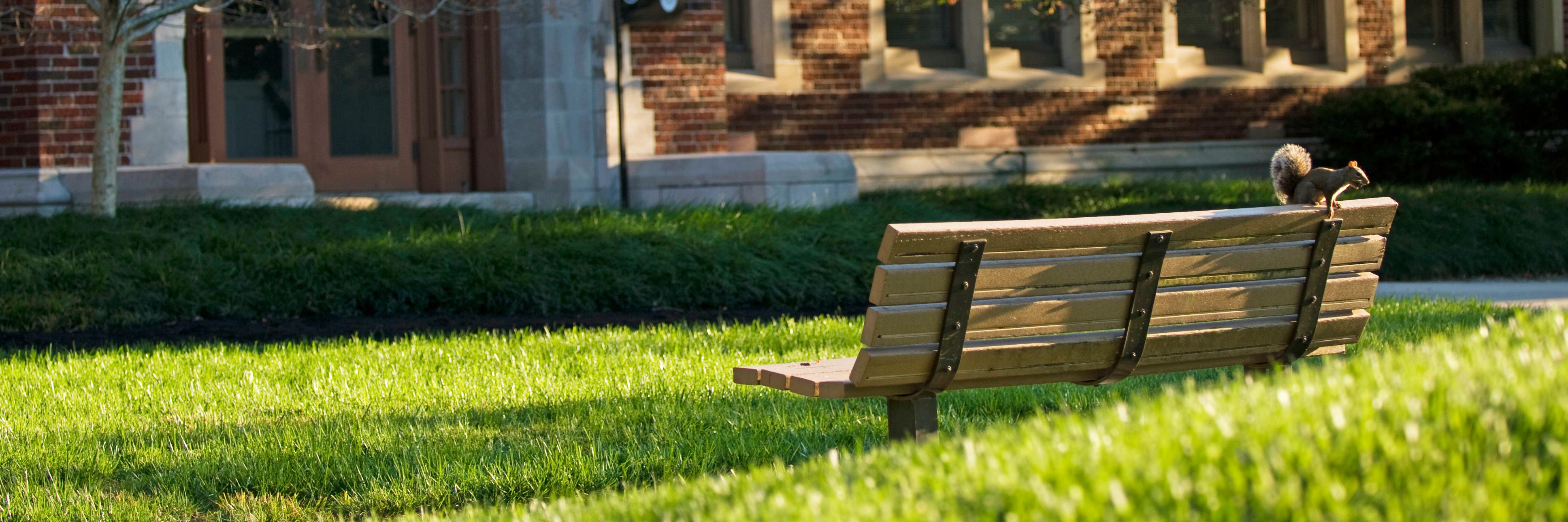 UT System News banner