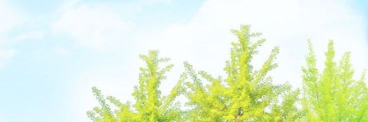 JM_repb's profile banner image