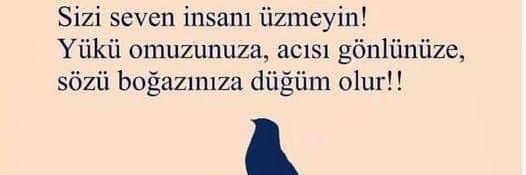 HamzaSenturk's profile banner image