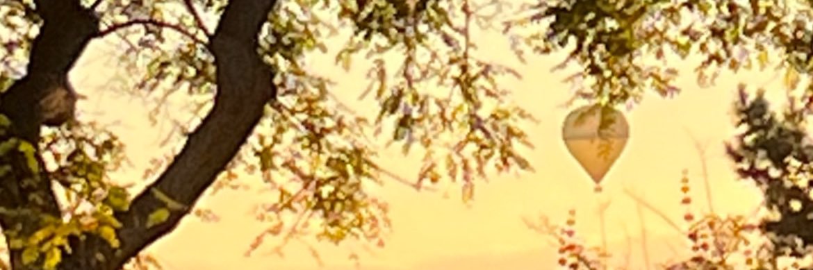 emrafsmith's profile banner image