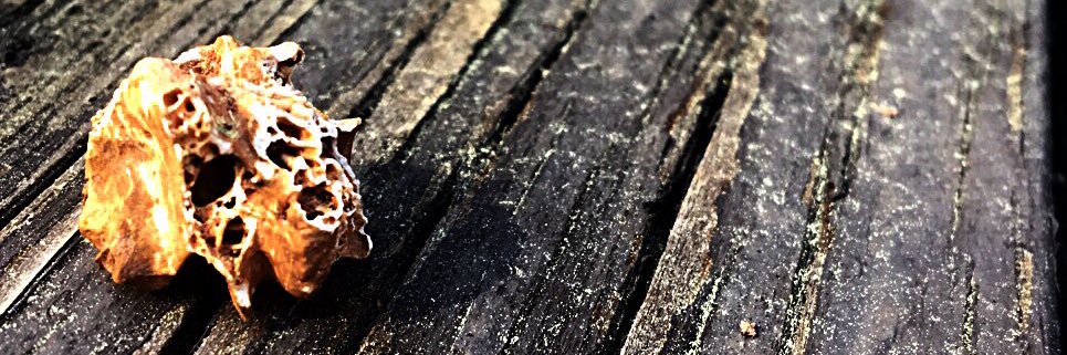 DavidDettmering's profile banner image