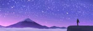 Quinn banner