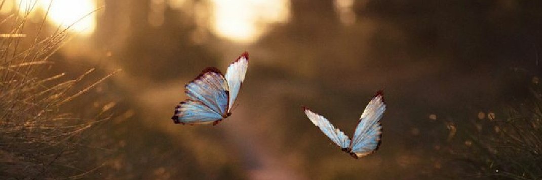 MamenGamboa's profile banner image