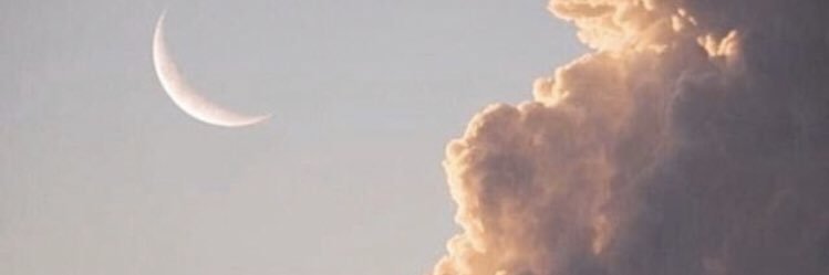 a144ea31ccfb4c7's profile banner image