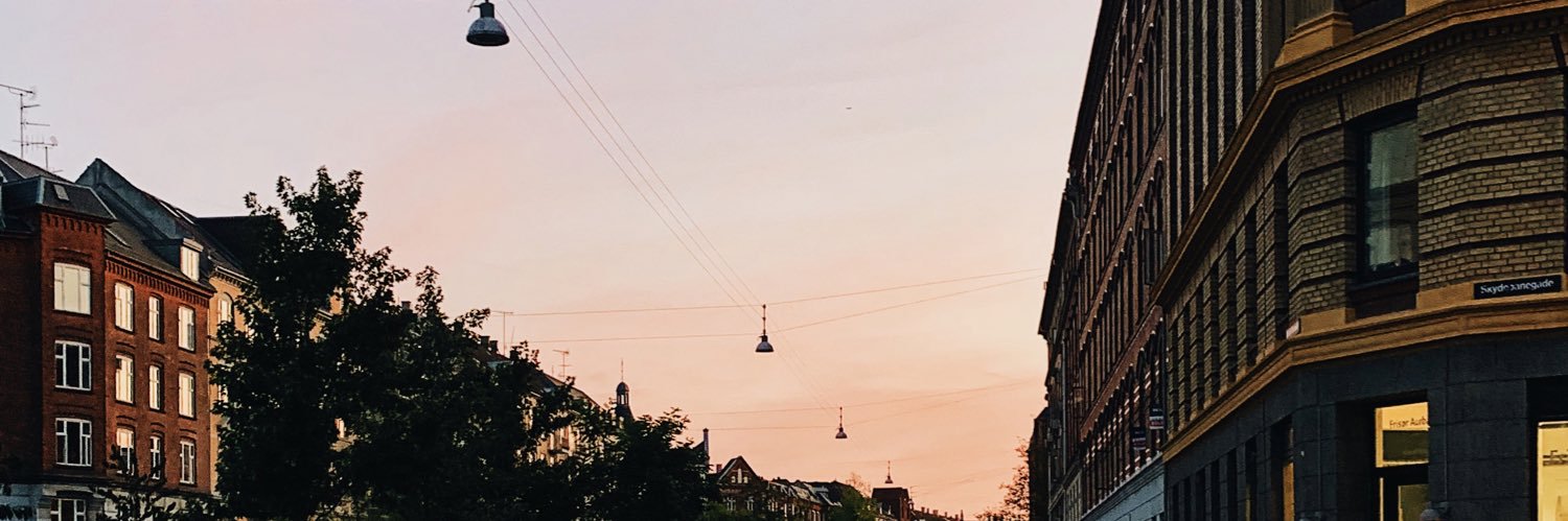 narinfk's profile banner image