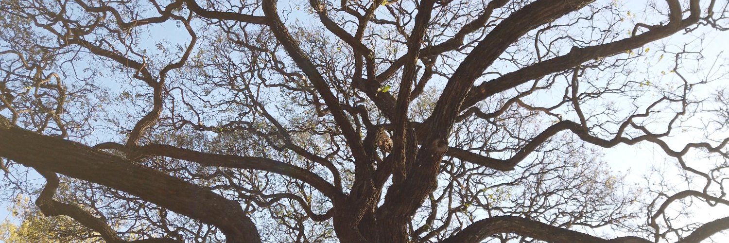 Eugenio Makharadze banner