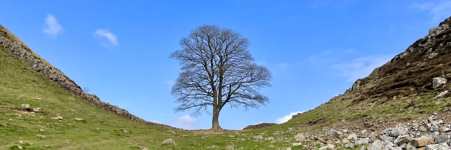 Heather Dunsheath banner