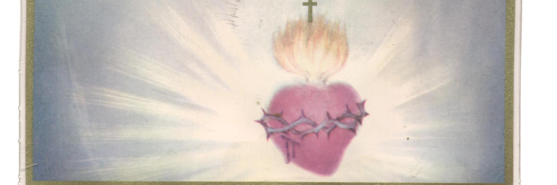 LoveInSightCath's profile banner image