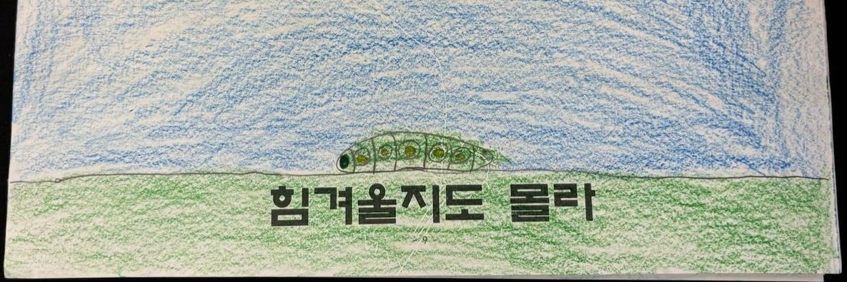 세코로? banner