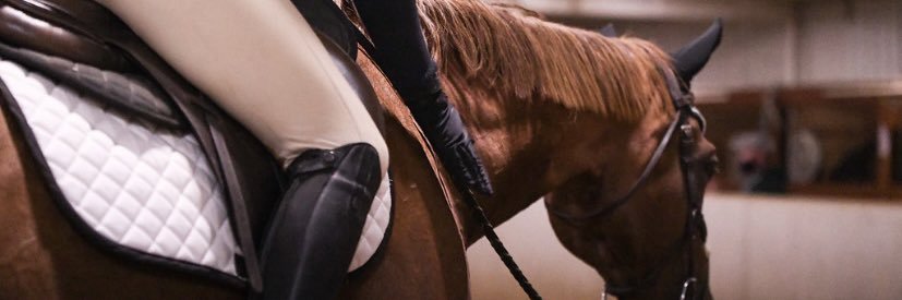 horsefreak1998's profile banner image