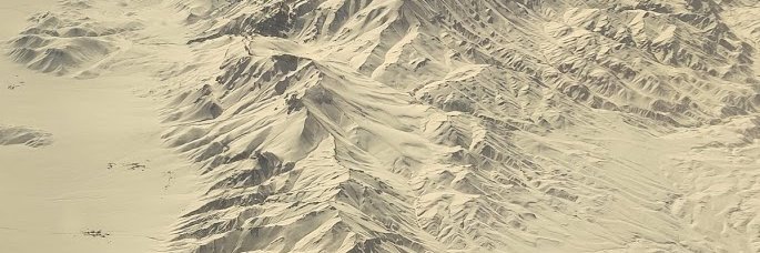 Edward Portal banner