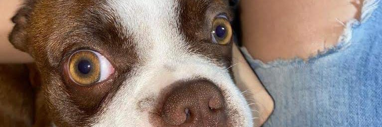 0Brenda5's profile banner image