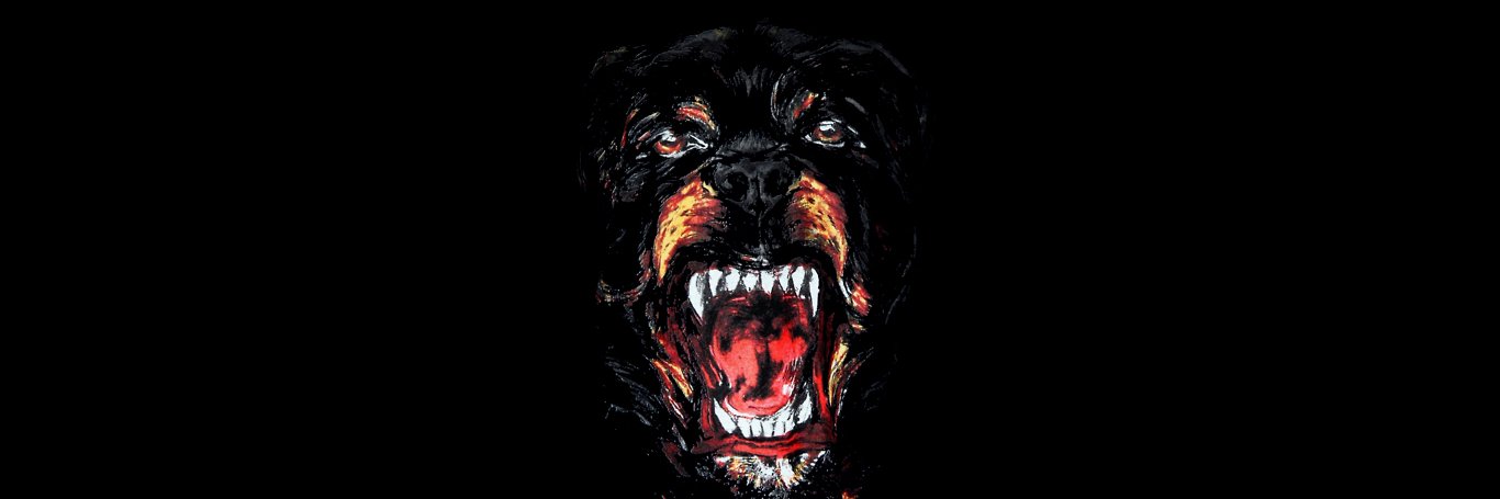 KadeMcPhail's profile banner image