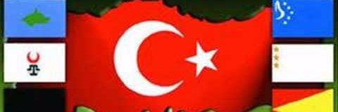 haliletten's profile banner image