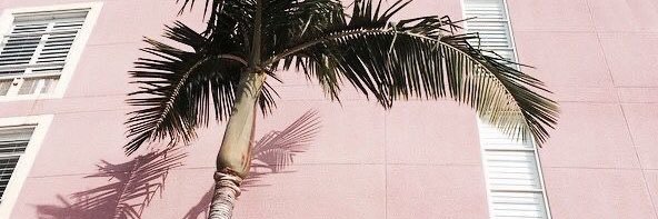 gnzgtrish's profile banner image