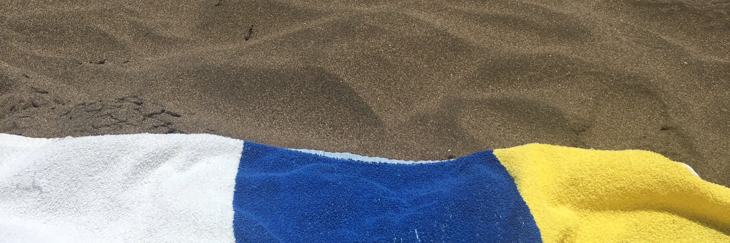 sarasanzme's profile banner image
