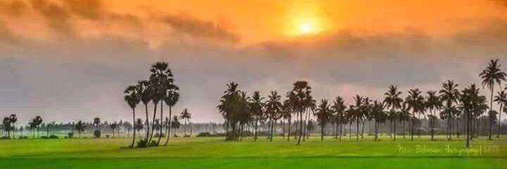 selnikraj's profile banner image