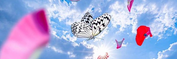 ajaybgp8 Profile Banner