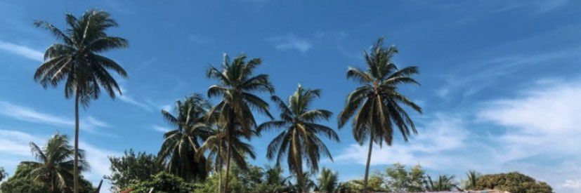 hello_melimelo's profile banner image