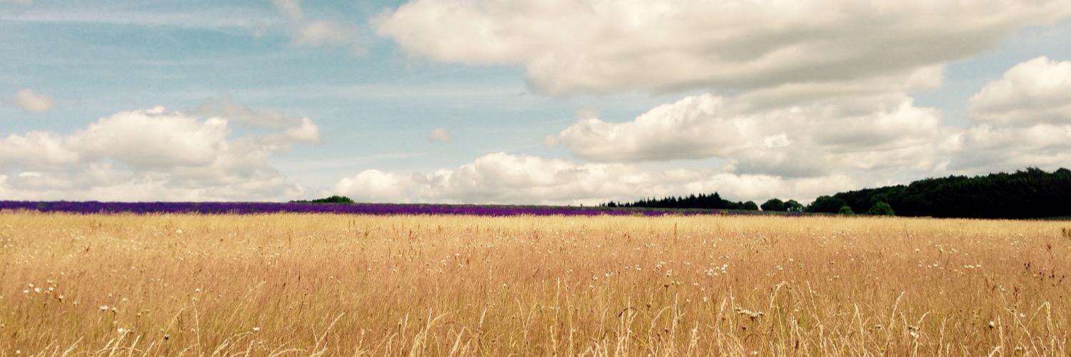 ClemPun's profile banner image