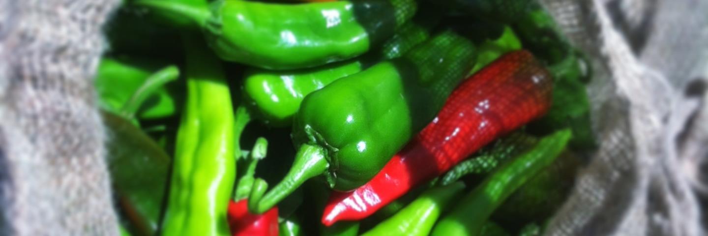 NM Certified Chile banner