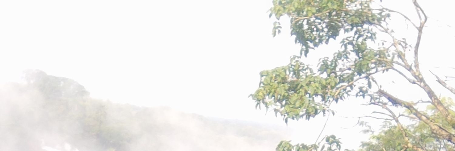 TiagoAssisAdv22's profile banner image