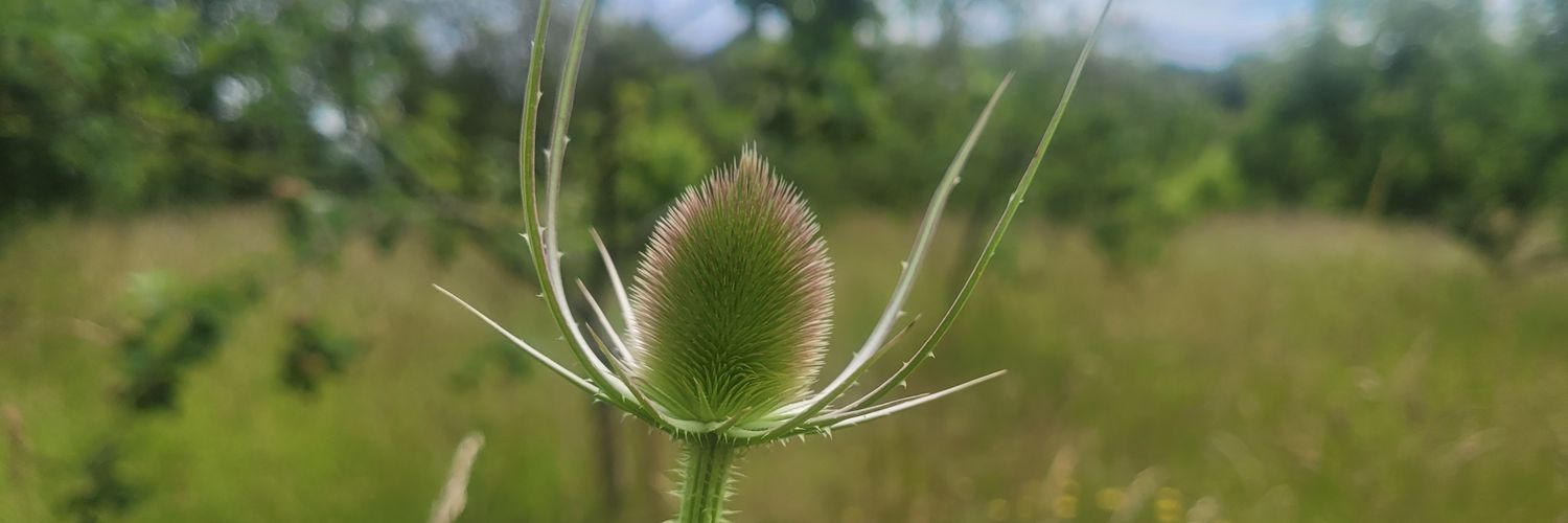 Dr Aimee Brett banner
