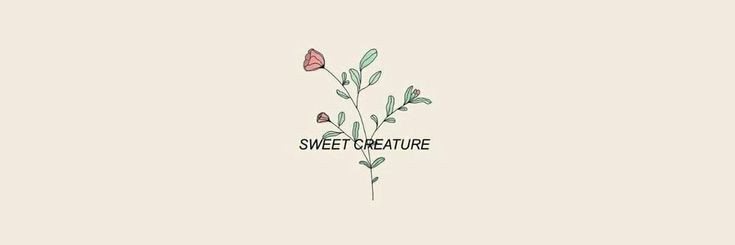 brenafsouza's profile banner image