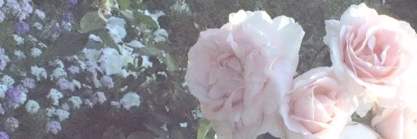 🐻 banner