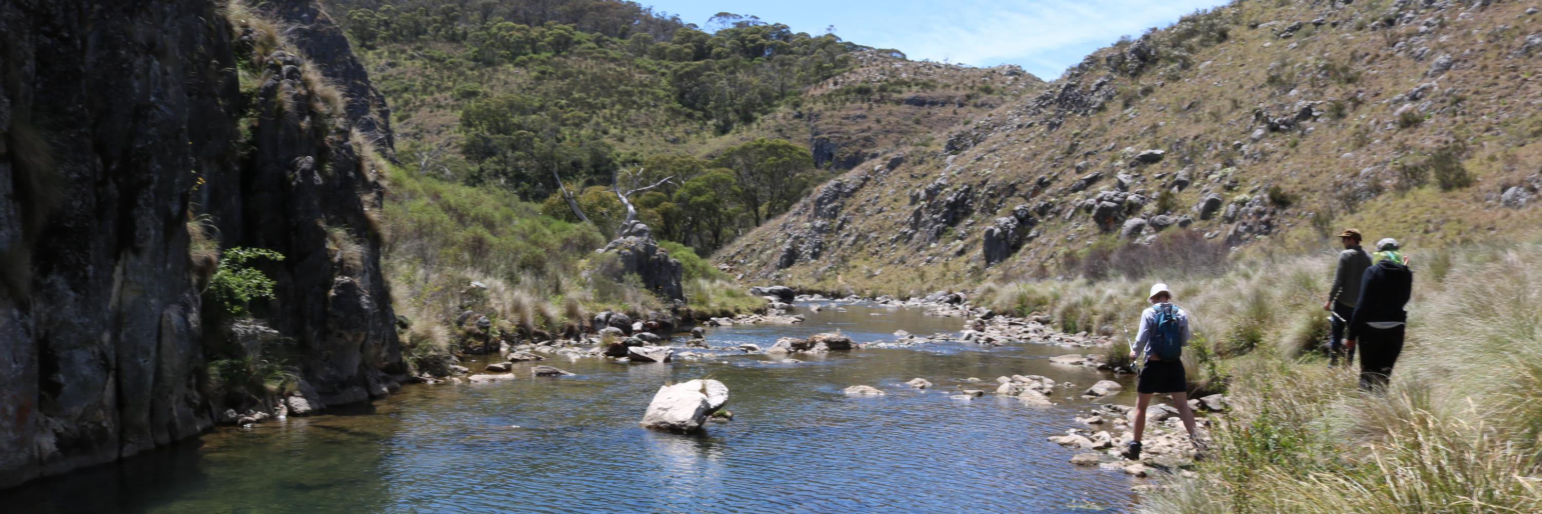 Thomas Williams banner