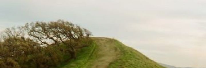 nsa4335's profile banner image