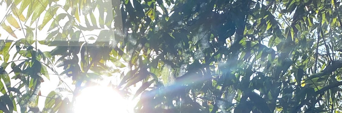 FKMahdi's profile banner image