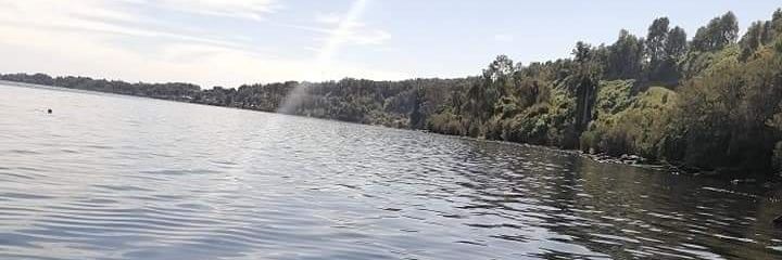 kottepombis's profile banner image
