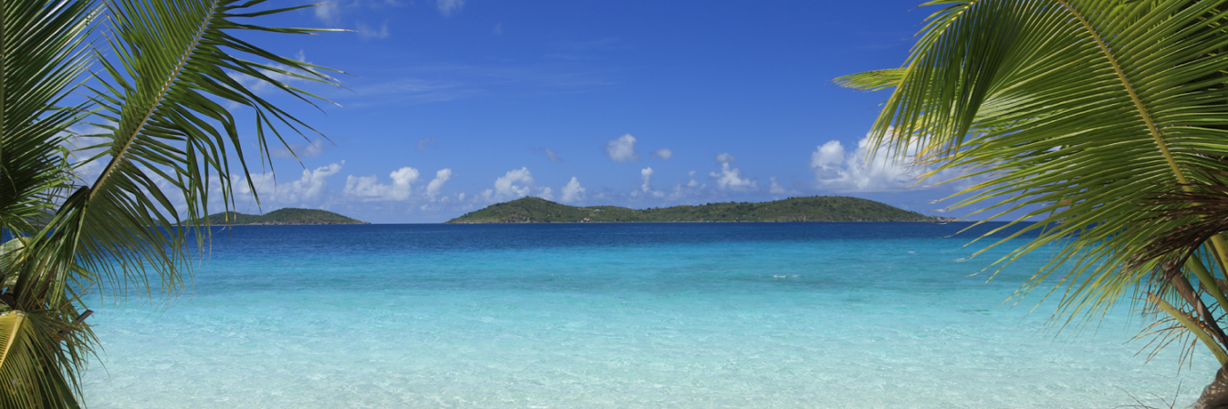 coconotion's profile banner image