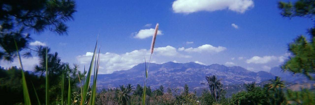 It's 🐼eyo! banner