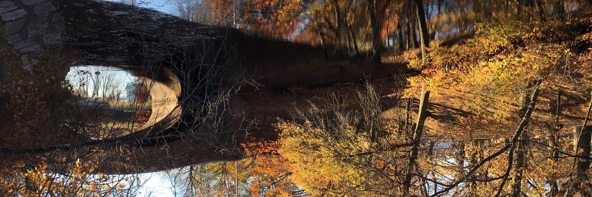 AlunDycem's profile banner image