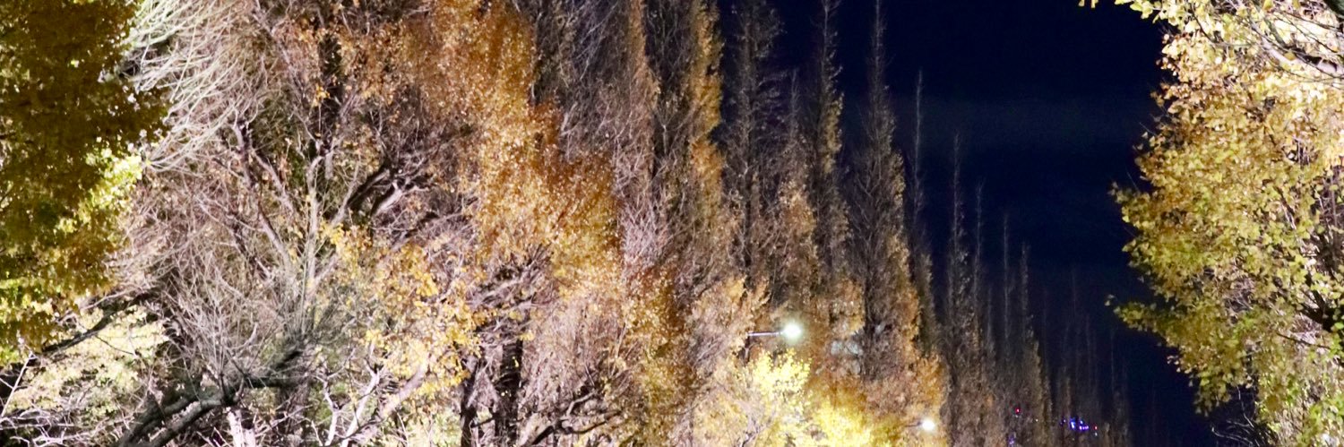 __yuki425's profile banner image