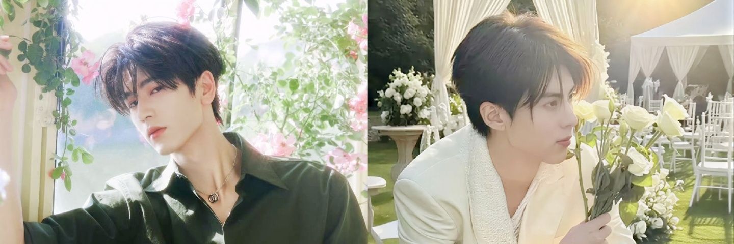 DD_Kimi's profile banner image