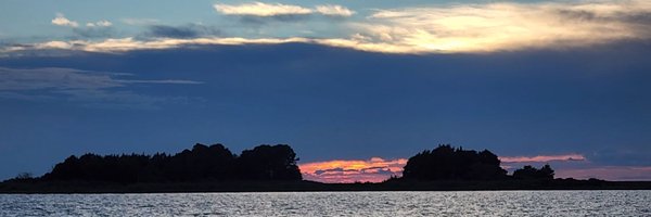 BoxerMomma34 Profile Banner