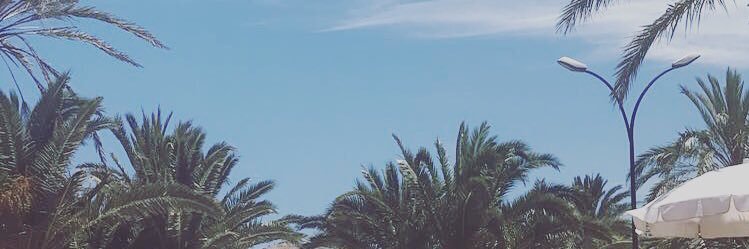 shezzy100's profile banner image